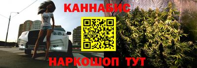 дмт Бийск