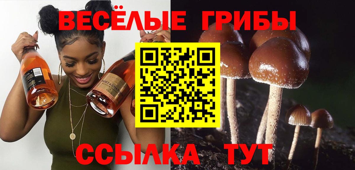 Псилоцибиновые грибы мухоморы  Вход с VPN  Псилоцибиновые грибы Cubensis  Богданович 