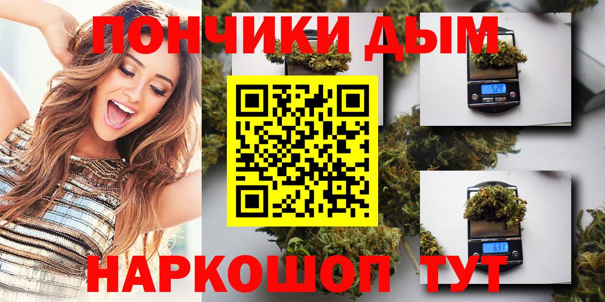 Бошки Шишки планчик Богданович